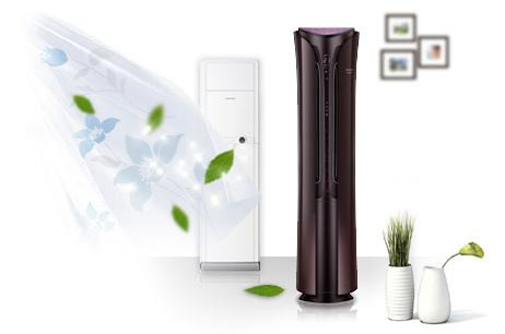 居家必備，三分鐘教您甲醛治理六大招！