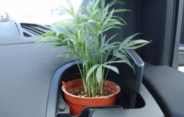 新車除醛，車內(nèi)除甲醛什么辦法***？