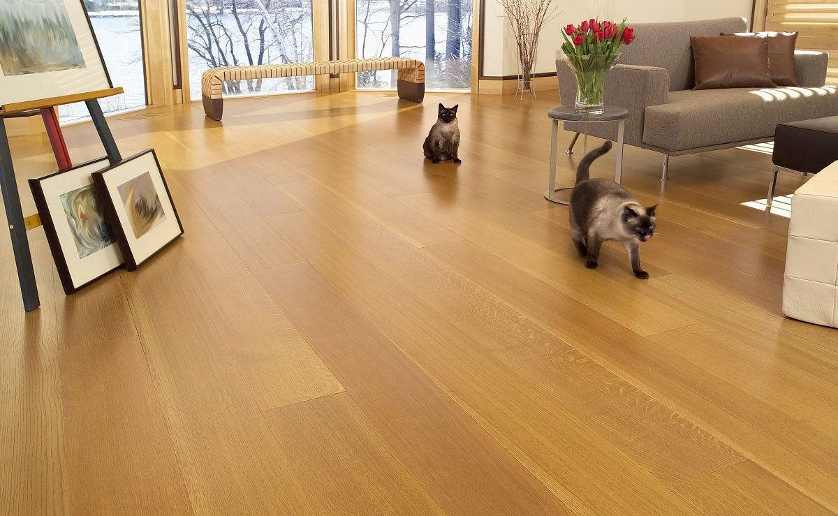 無法拆開、無法通風(fēng)！地板甲醛超標(biāo)怎么辦