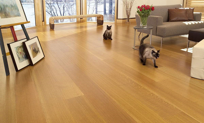 了解室內(nèi)甲醛超標(biāo)怎么辦，把握自己的健康