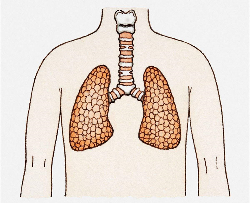 如何進(jìn)行甲醛治理？沒(méi)有治理過(guò)的空氣就像虐待肺