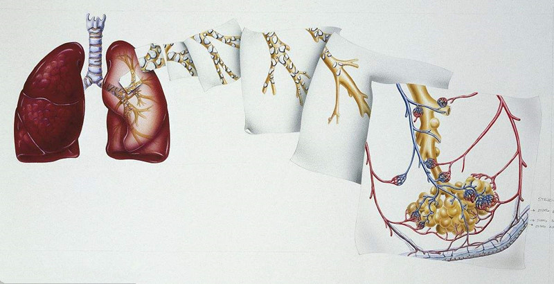 如何進(jìn)行甲醛治理？沒(méi)有治理過(guò)的空氣就像虐待肺