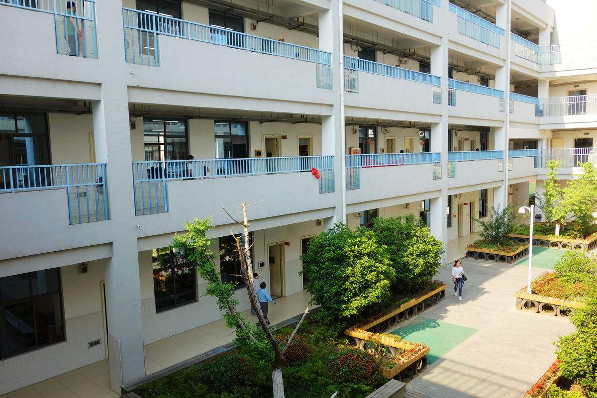 校舍裝修完買了400盆綠蘿凈化空氣，還有孩子開學(xué)***天就熏暈了！