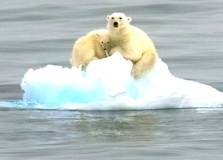 溫室效應產生的主要原因是什么？我們又該如何解決