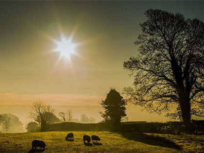 僅靠通風(fēng)換氣去除甲醛？這樣入住很危險(xiǎn)哦！