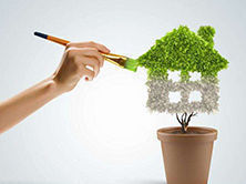 洋蔥可以除甲醛？民間流傳土方法可信嗎？