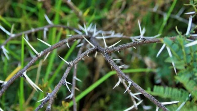 家中旺位和衰位在哪里？三分鐘學(xué)習(xí)室內(nèi)風(fēng)水學(xué)