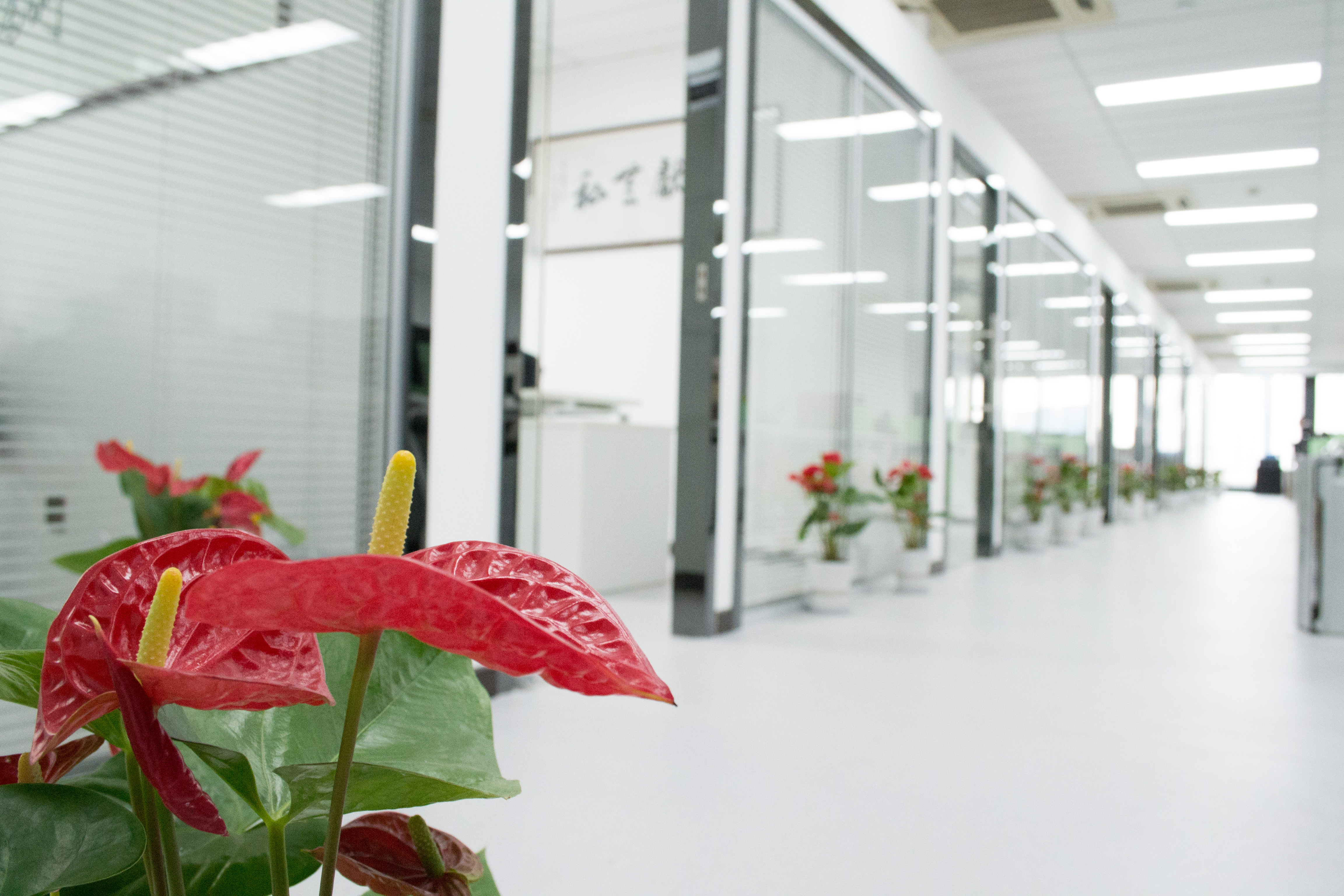 新起點(diǎn)，新征程 | 熱烈祝賀創(chuàng)綠家喬遷新址