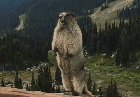 環(huán)保材料竟然裝修出污染房，新房裝修怎么這么難?。?！