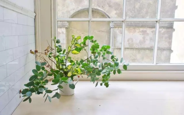 通風(fēng)半年甲醛仍超標(biāo)？甲醛治理要注意