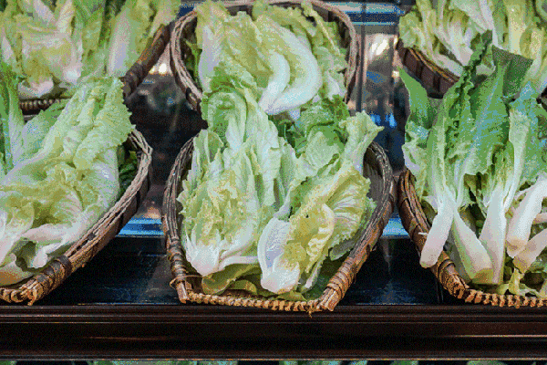 夏至高溫預(yù)警！消暑養(yǎng)生秘笈了解一下？