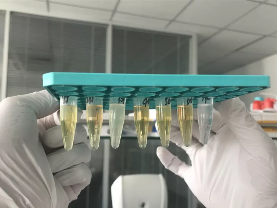 水煮花生含甲醛？實(shí)測(cè)多家燒烤店結(jié)果太可怕！