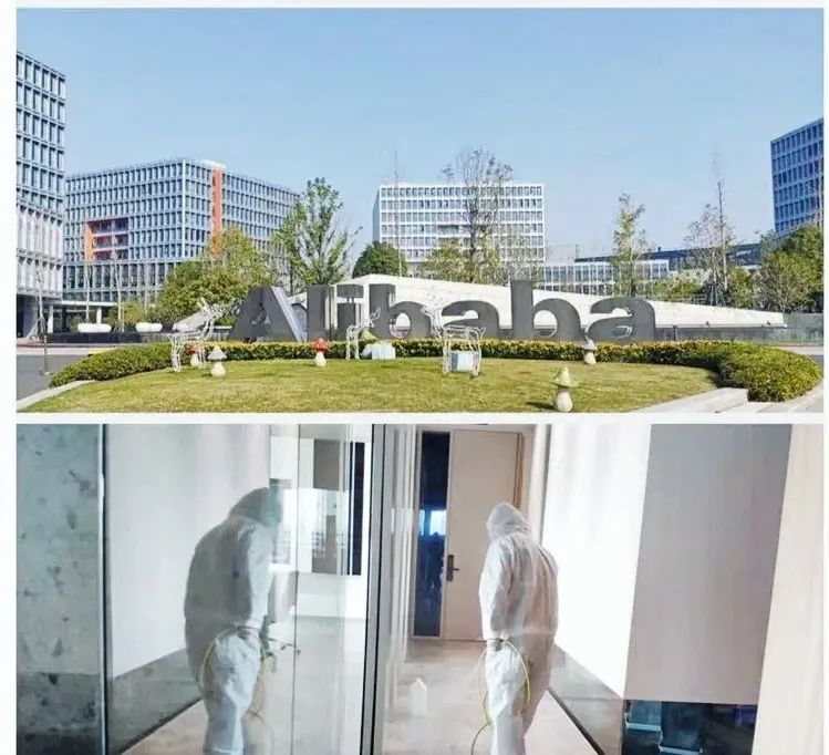 吾志所向，一往無前 | 創(chuàng)綠家2020年大事記