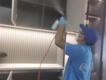 偏方真的能除甲醛嗎？