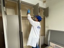 偏方真的能除甲醛嗎？