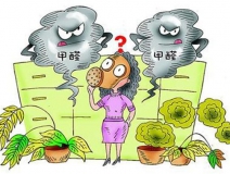 新買(mǎi)的衣柜甲醛含量較高，除甲醛公司建議不要急于放衣物