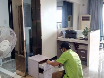 裝修后除甲醛依靠綠植可以嗎？