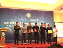 祝賀創(chuàng)綠家光觸媒榮獲2016凈化藥劑產(chǎn)品技術(shù)創(chuàng)新成果獎！