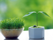 小護士中毒性肝病，都是新房甲醛等污染惹的禍