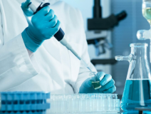 綠植真的能除甲醛嗎？