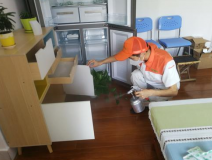 除甲醛公司是否靠譜？靠譜的公司有哪些特點？