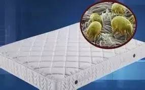 南京美女睡了10年的床墊，掀開后把全家人都嚇傻了……