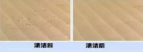 南京美女睡了10年的床墊，掀開后把全家人都嚇傻了……