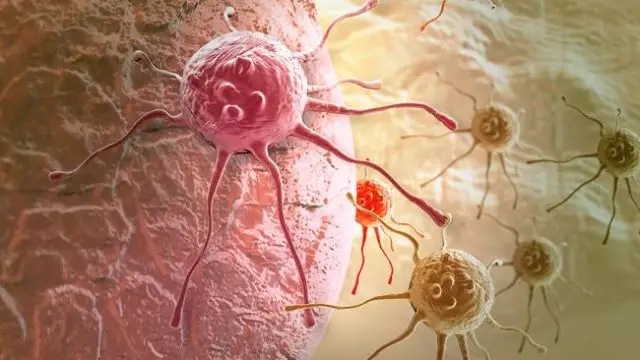 癌癥、白血病越來越多，是因?yàn)闀r(shí)代在進(jìn)步而導(dǎo)致的嗎？