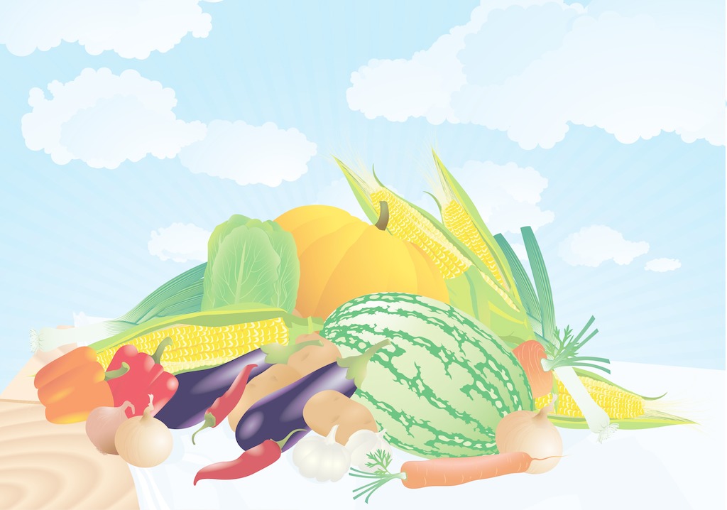 夏季找除甲醛公司有哪些需要注意的？