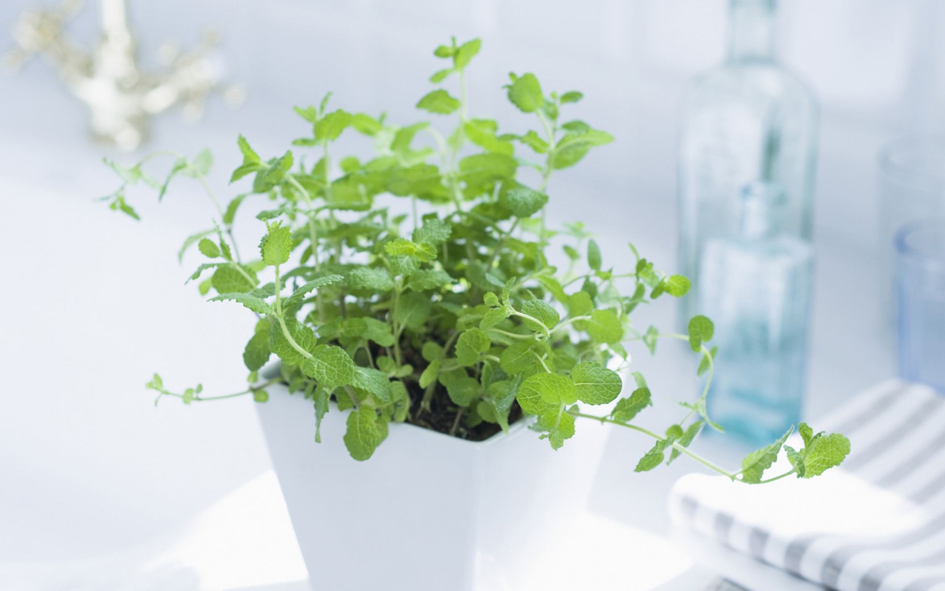 央視***主持人朱迅因癌癥離開大屏幕，這7個壞習(xí)慣最容易得癌癥！